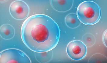 Boost the Body's Natural Healing with Bone Marrow Stem Cells (BMAC)