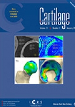 Dr. Mithoefer publishes peer-reviewed manuscript on developing surgical treatments for articular cartilage restoration