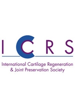 Dr. Mithoefer served as invited Faculty at the 15th ICRS